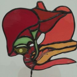 Detalle. Muestra Trofeo Gastroenterología. Barcelona. Año 2011