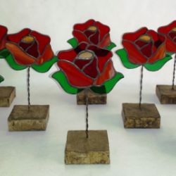 Trofeos Llar d'Avis