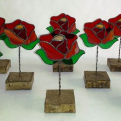 Trofeos Llar d'Avis. Sant Cugat 2018